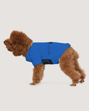 Load image into Gallery viewer, True Blue Dragon Doggie Tee