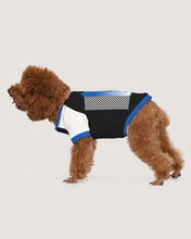 Load image into Gallery viewer, Dragon Magician Doggie Tee